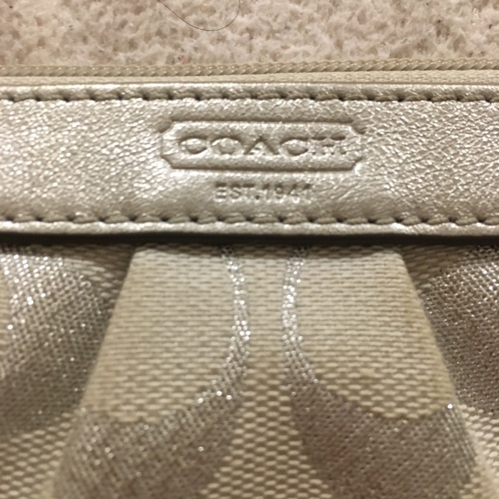 Coach Metallic Silver Women's Bag